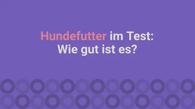 Video thumbnail for Happy Dog Hundefutter im Test: Wie gut ist es? (2024)