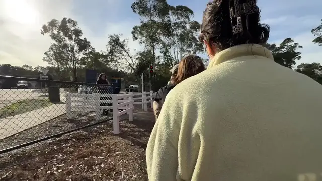 Video thumbnail for Mini Railway and Steam Train Ride