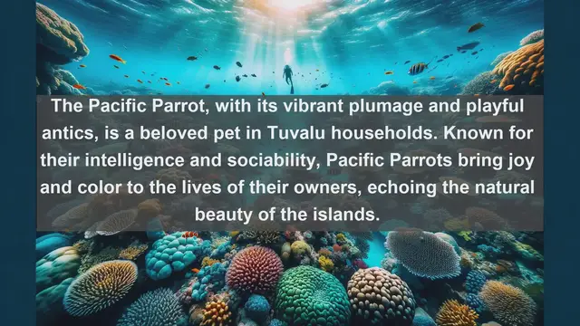 Video thumbnail for Tuvalu's Top 10 Treasured Pets: Discover the Furry and Feathered Companions of the Pacific Paradise