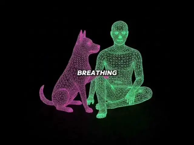 Video thumbnail for Ever notice how your dog gently places his little paw on you, not loudly,