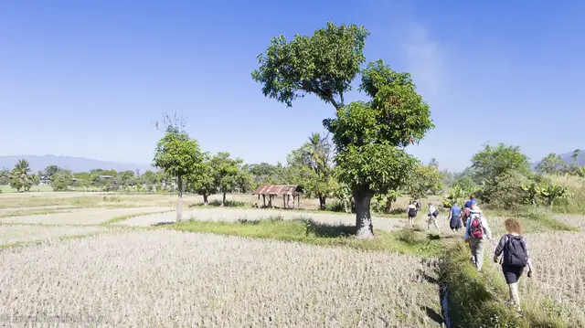 Video thumbnail for Wanderung vom Inle-See zu den Reisterrassen | Myanmar