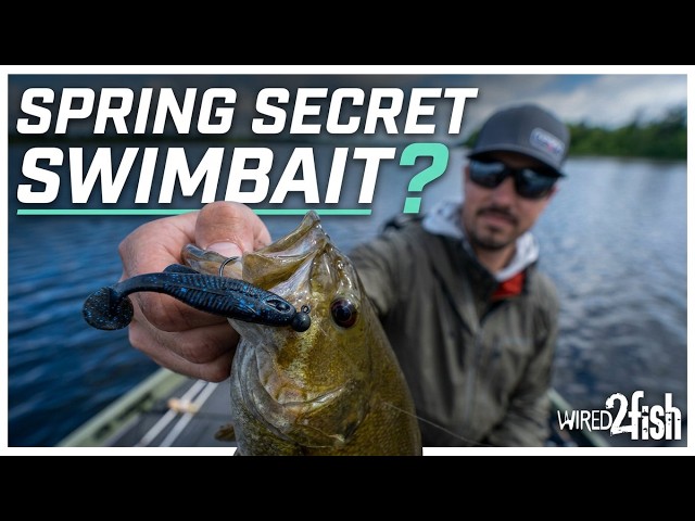 Video thumbnail for Bob Downey’s Secret Spring Swimbait That Just Works