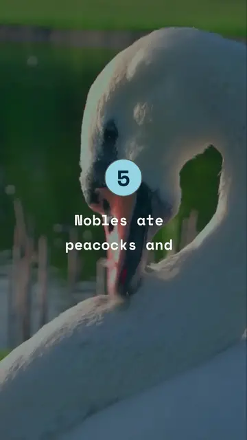 Video thumbnail for 5 Crazy Medieval Facts You Won’t Believe!