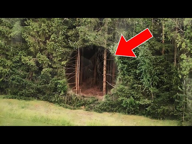 Video thumbnail for Hunter Finds Strange Hole In The Forest - He Screams When Realizing What It Leads To