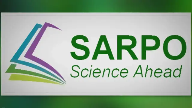 Video thumbnail for Tree Care Revolution: Unleash the Power of Epsom Salt for Lush Greenery