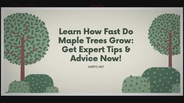 Video thumbnail for From Seed to Towering Beauty: The Maple Tree Growth Journey