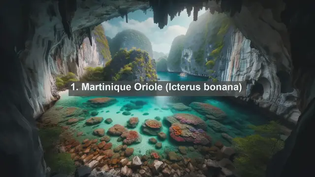 Video thumbnail for Discovering Martinique's Avian Treasures: Top 10 Native Birds