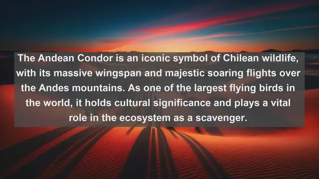 Video thumbnail for Chilean Avian Marvels: Top 10 Native Birds of Chile