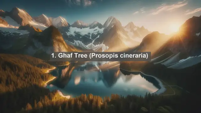 Video thumbnail for Exploring UAE's Natural Treasures: Top 10 Native Plants of the United Arab Emirates