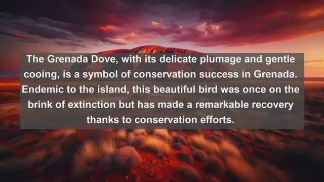 Video thumbnail for Discovering Grenada's Wildlife: Top 10 Native Animals in the Caribbean Paradise