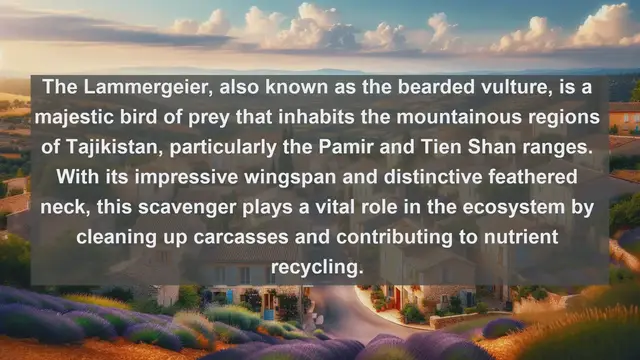 Video thumbnail for Wings of the Pamirs: Discovering Tajikistan's Top 10 Native Birds