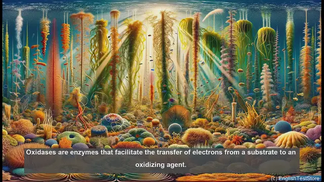 Video thumbnail for Oxidase in biology