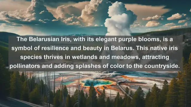 Video thumbnail for Unveiling Belarus' Botanical Marvels: Top 10 Native Plants