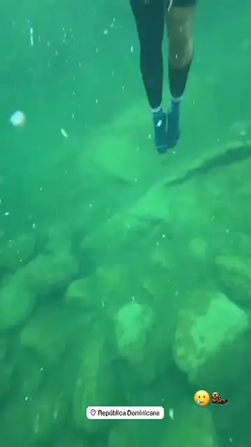 Video thumbnail for Fernando Tatis Jr GOZÓ de las maravillas de Dominicana