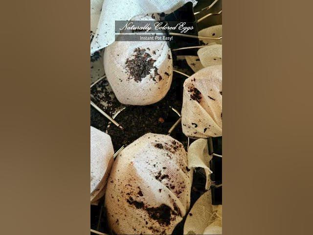 Video thumbnail for Instant Pot Naturally Dyed Easter Eggs