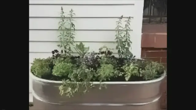 'Video thumbnail for 10 Raised Garden Bed Ideas That Will Elevate Your Garden'