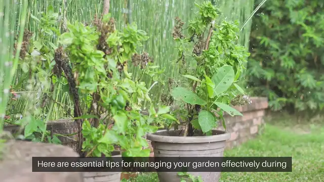 Video thumbnail for Outdoor Gardening Tips for Drought Conditions