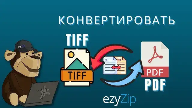'Video thumbnail for Как Конвертировать TIFF В PDF Онлайн (простое Руководство)'