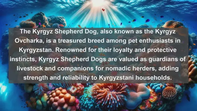 Video thumbnail for Kyrgyzstan's Most Cherished Companions: Top 10 Favorite Pets Revealed