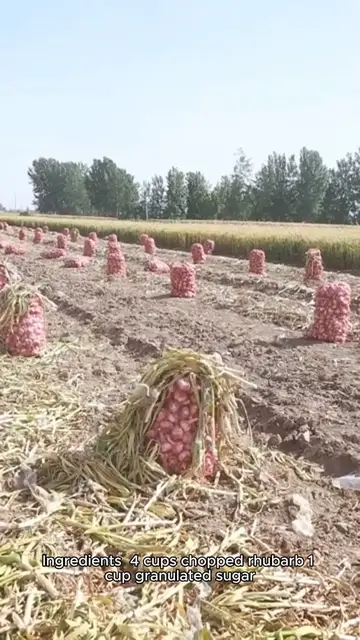 Video thumbnail for rhubarb recipe