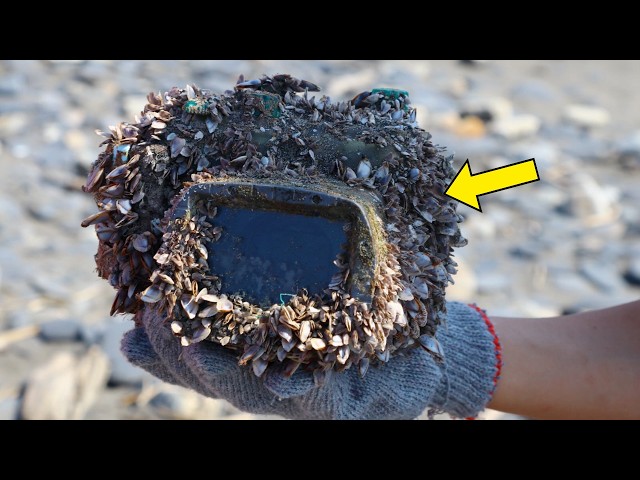 Video thumbnail for Photographer Vanished 8 Years Ago. After Developing Camera Roll, They Realize Where To Find Him