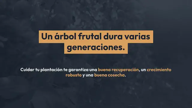 Video thumbnail for Aquí se explica cómo plantar correctamente un árbol frutal.