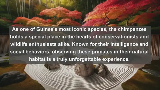 Video thumbnail for Discovering Guinea's Wildlife Wonders: Top 10 Native Animals
