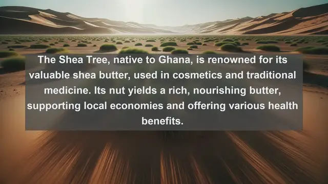 Video thumbnail for Discover the Green Treasures: Top 10 Native Plants of Ghana