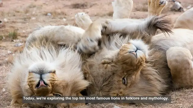 Video thumbnail for 10 Famous Lions in Folklore and Mythology