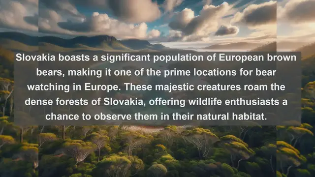 Video thumbnail for Exploring Slovakia's Natural Wonders: Top 10 Native Animals