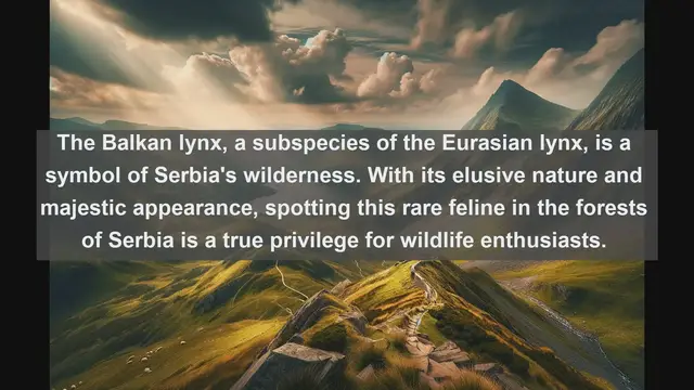 Video thumbnail for Exploring Serbia's Natural Treasures: Top 10 Native Fauna You Need to See