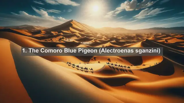 Video thumbnail for Wings of Paradise: Exploring the Top 10 Native Birds of Comoros!