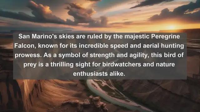 Video thumbnail for Discovering San Marino's Avian Gems: Top 10 Native Birds in the Microstate