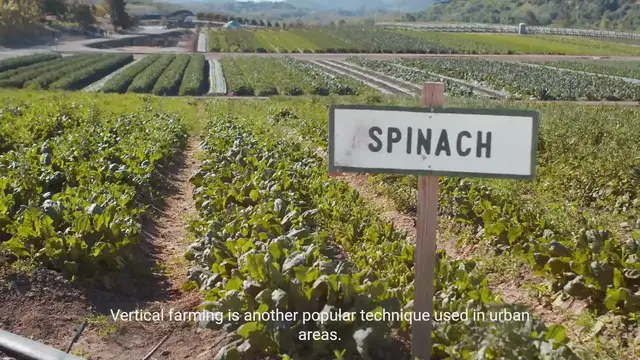 Video thumbnail for Urban Farming: Techniques and Tips for Sustainable Farming