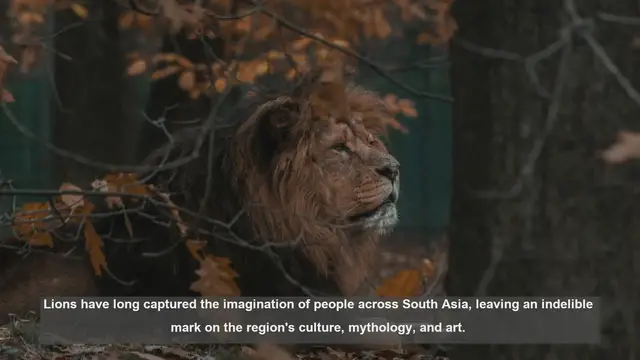 Video thumbnail for 10 Cultural Significances of Lions in South Asia