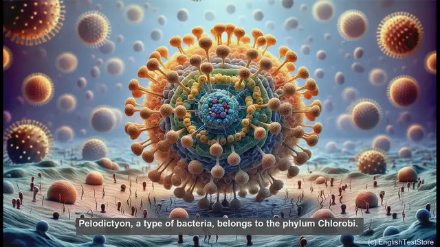 Video thumbnail for Pelodictyon in biology