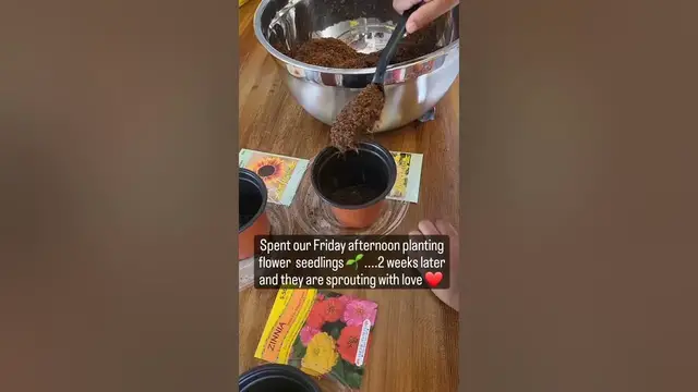 Video thumbnail for Toddler #Montessori Activity, Life Skills & Science! Plus Bonding 🥰 #toddleractivities