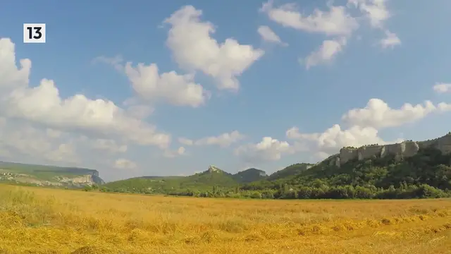 Video thumbnail for How to Grow Pumpkins at Home in Containers