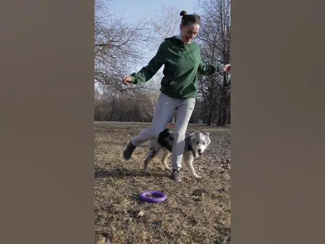 'Video thumbnail for Best of Human  Pet Relationship #3 / Dog training 1'