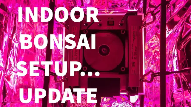 'Video thumbnail for Indoor Bonsai Setup UPDATE - Plant Photonics LED light'