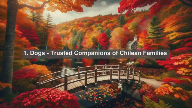 Video thumbnail for Discover Chile's Top 10 Favorite Pets: Your Guide to Furry Companions!