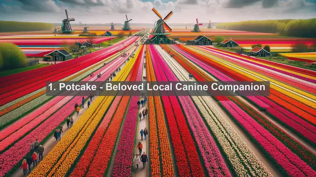 Video thumbnail for Discover the Best Pet Companions in the Bahamas: Top 10 Favorites Unveiled!