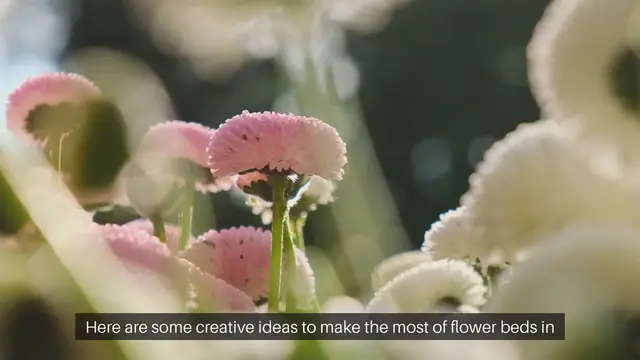 Video thumbnail for Backyard Landscaping Ideas With Flower Beds