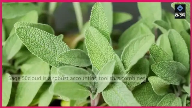 Video thumbnail for Top 10 Accounting Tools for Financial Analysis