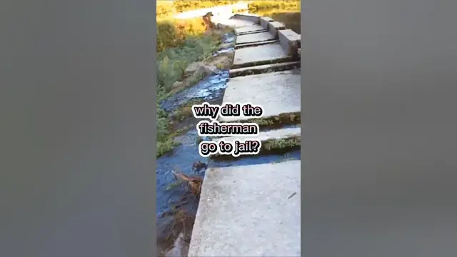 Video thumbnail for Fishing Joke 28 #jokes #fishingjokes #humor