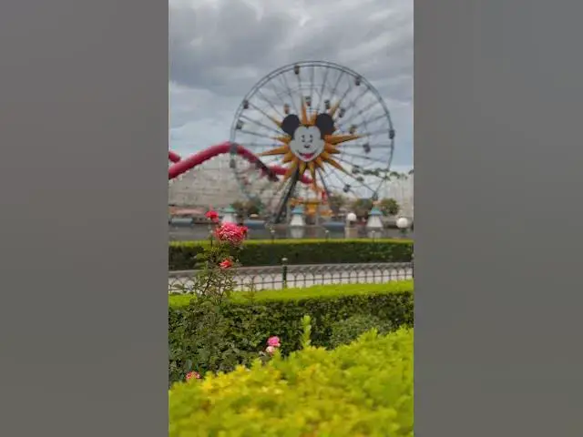 Video thumbnail for A lovely moment in Disney California Adventure!