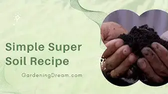 Video thumbnail for Simple Super Soil Recipe