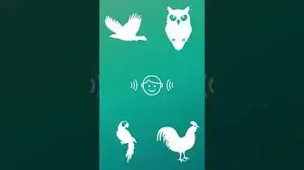 Video thumbnail for ? Birds in German & English | Bird Names