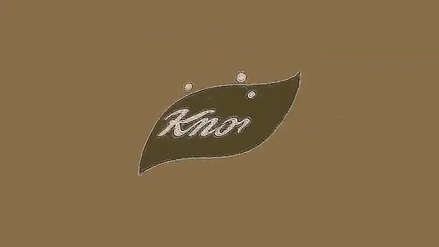 Video thumbnail for Knorr Logo (2024) 4ormulator Collection (V1-V33)