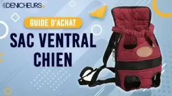 Video thumbnail for 👓 MEILLEUR SAC VENTRAL POUR CHIEN - Comparatif & Guide d'achat